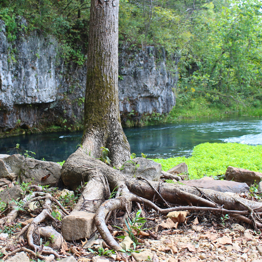 5 Reasons to Visit the Current River