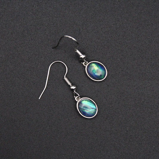 Labradorite-Style Charm Earrings (Silver)