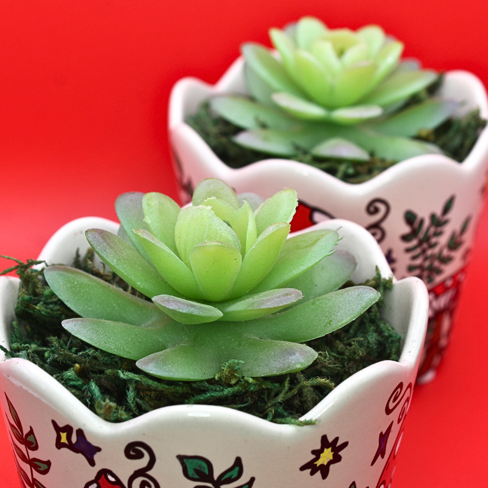 Mushroom Flower Pot (w/ Faux Succulent)